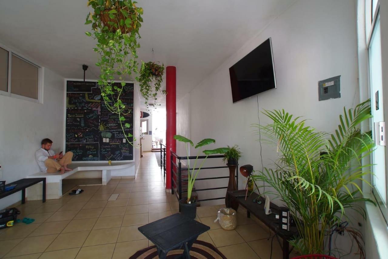Lush Sayulita Hostel Exterior photo
